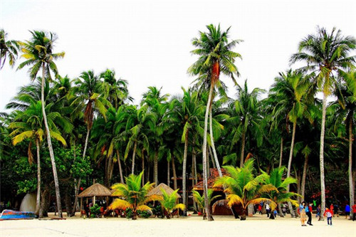 创业策划书连锁便利店怎么写