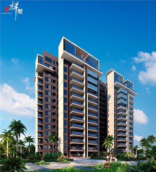 藏排通便贴（通便贴多少钱一盒）