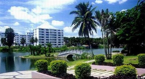 hippo是什么意思中文翻译（hippos什么意思中文）