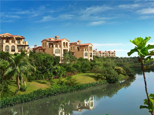 繁花过后是什么（繁华过后是什么）