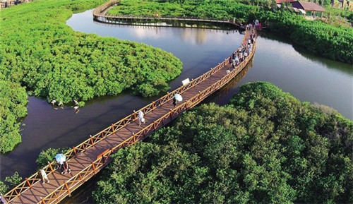 爱情的中文是什么歌（关于爱情的中文歌）